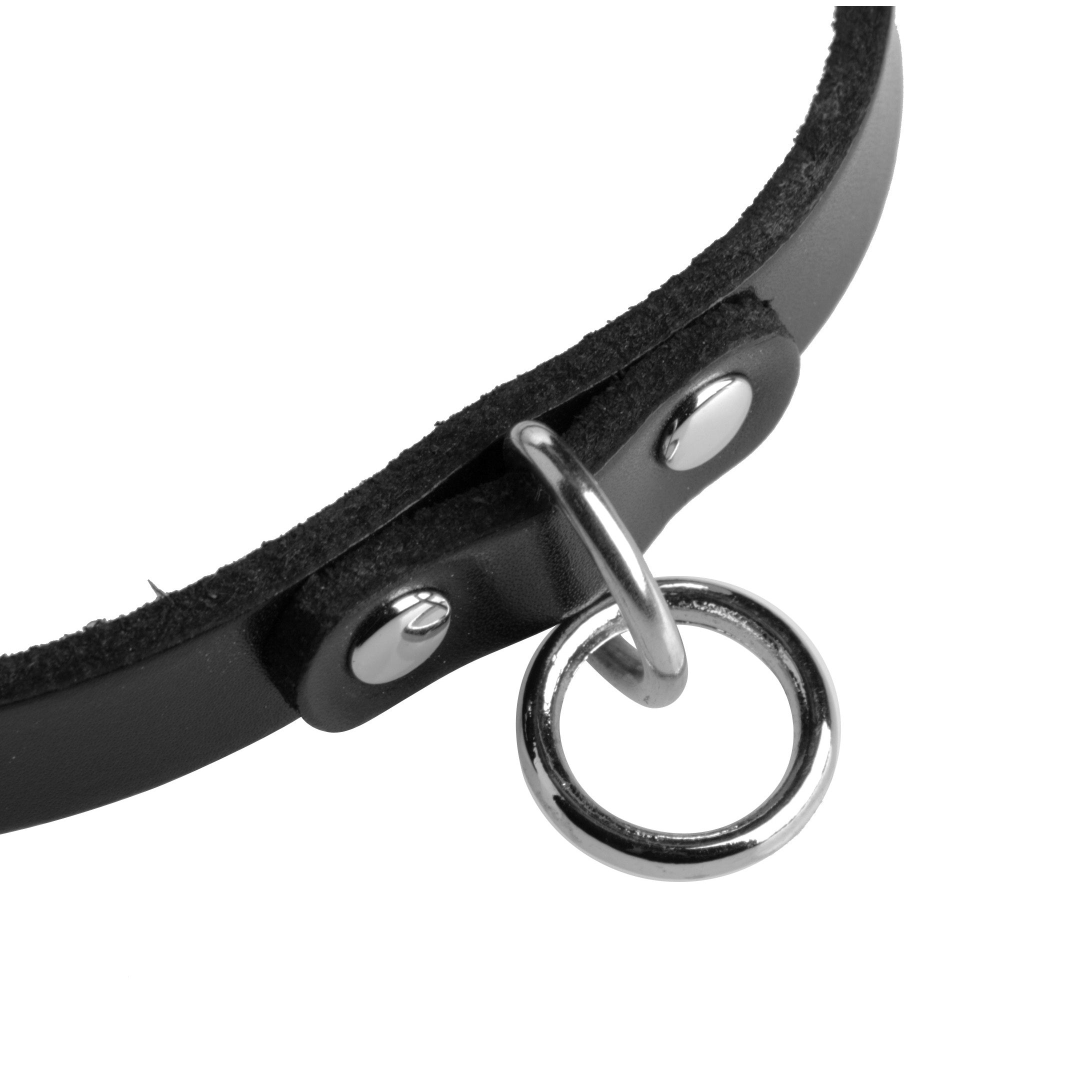 Strict Leather Unisex Leather Choker with O-Ring- ML Black / Medium/Large