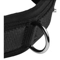 Frisky Neoprene Bondage Collar with D-Rings Black