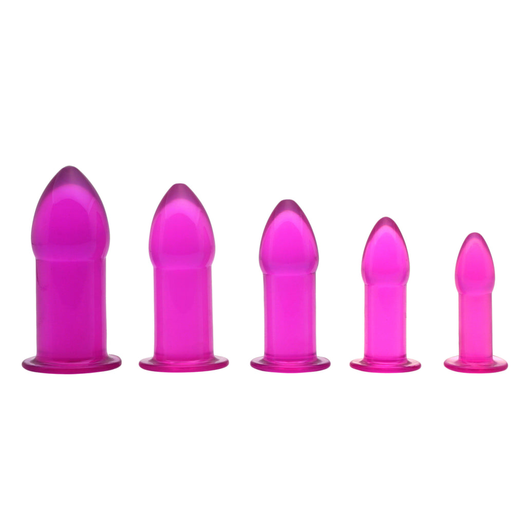 Trinity Vibes 5 Piece Anal Trainer Set - Purple Purple