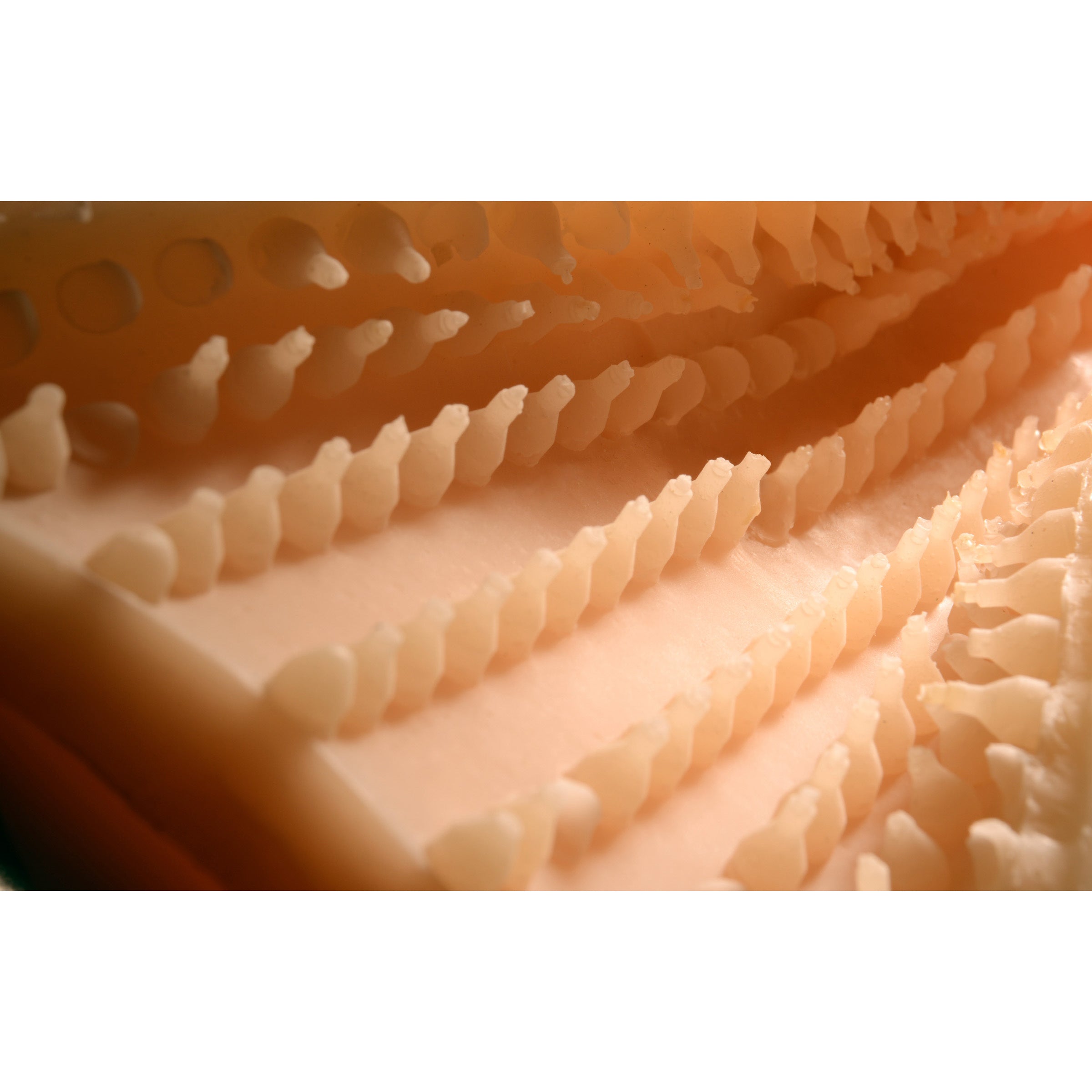 LoveBotz Pandoras Pussy Sex Machine Masturbator Attachment Flesh