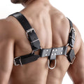 Strict Leather English Bull Dog Harness Black
