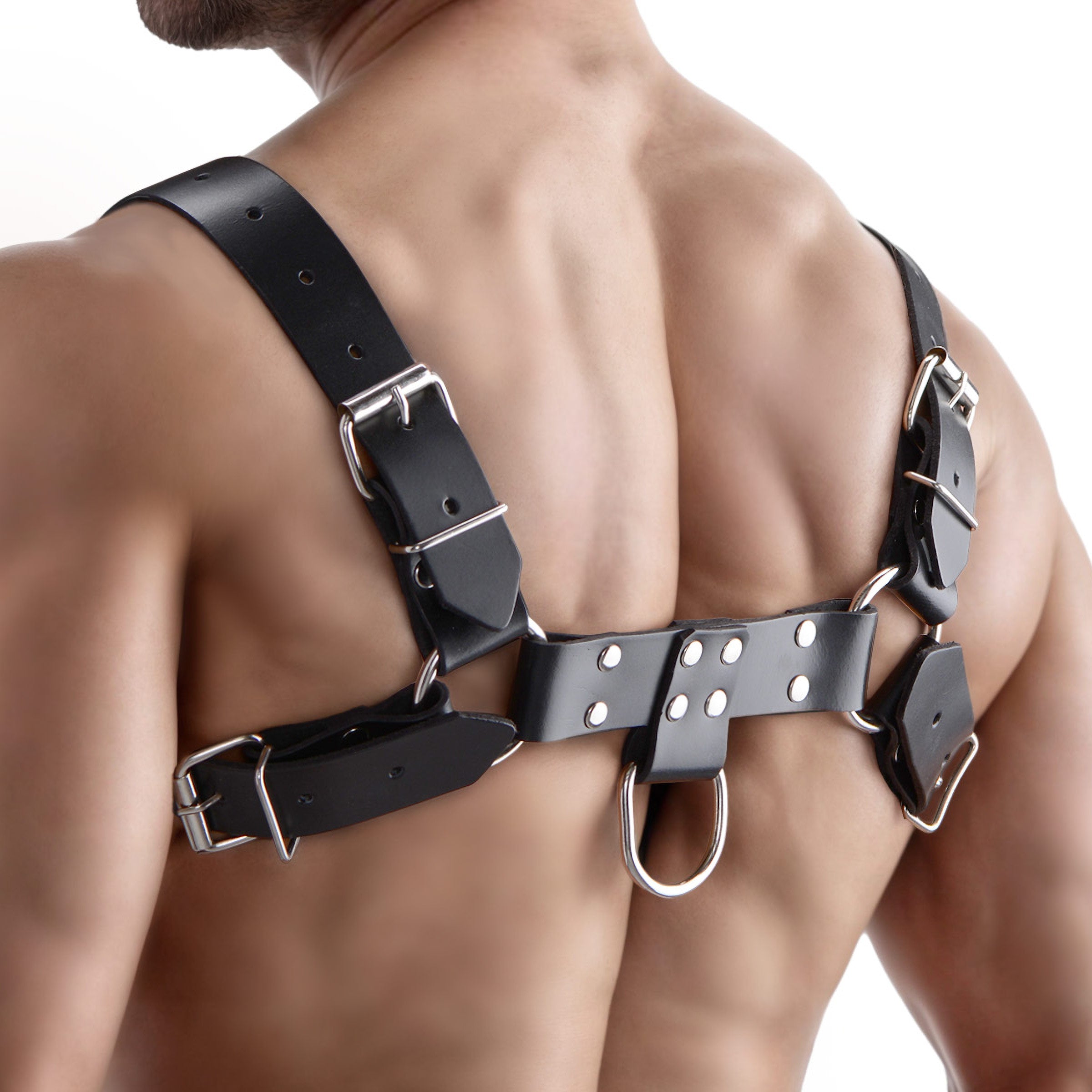 Strict Leather English Bull Dog Harness Black