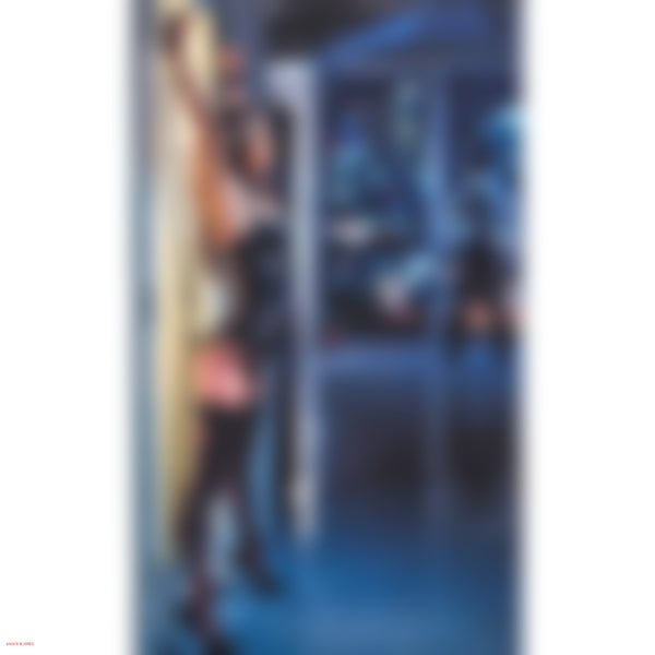 California Exotic Novelties Scandal Over the Door Bondage Cross