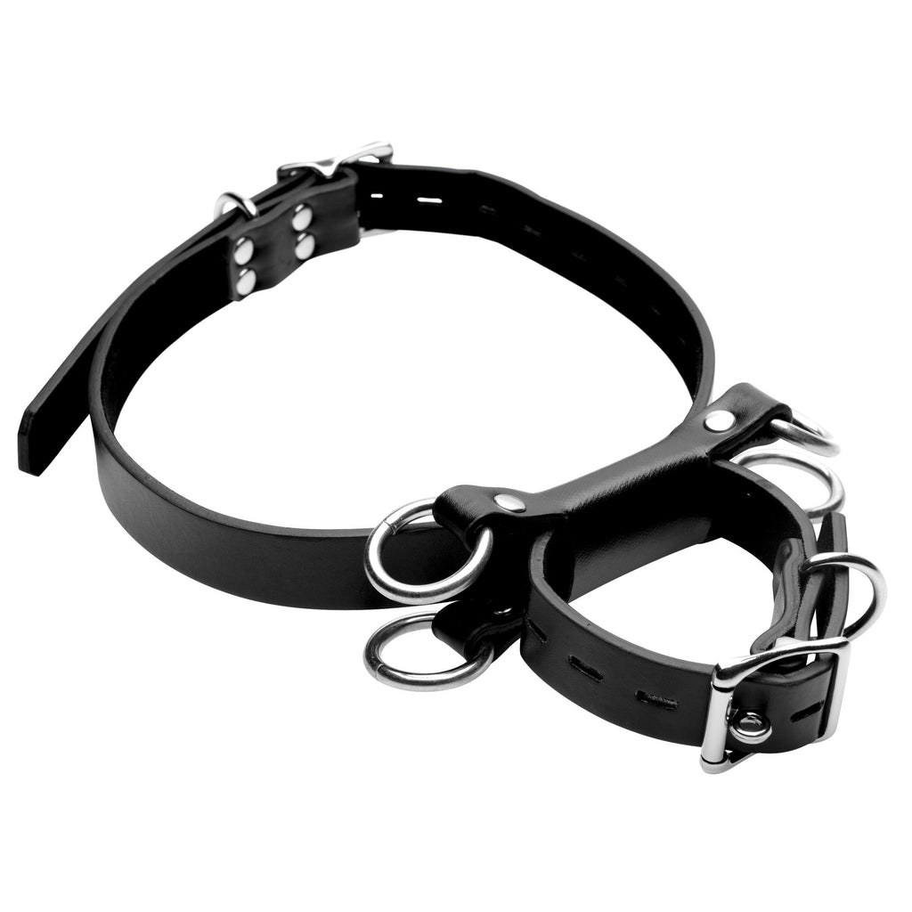 STRICT Frog Tie Kneeling Bondage Restraint System Black