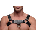 Strict Leather English Bull Dog Harness with Cock Strap Black