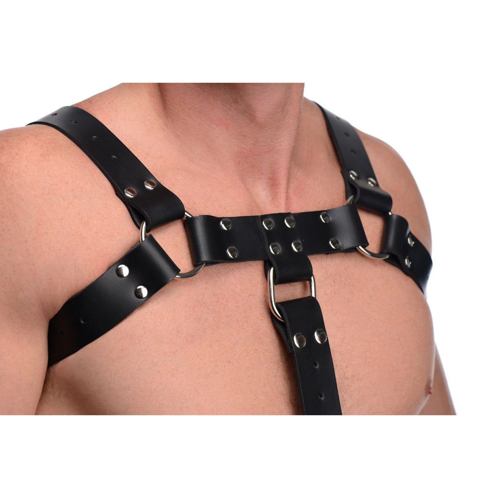 Strict Leather English Bull Dog Harness with Cock Strap Black
