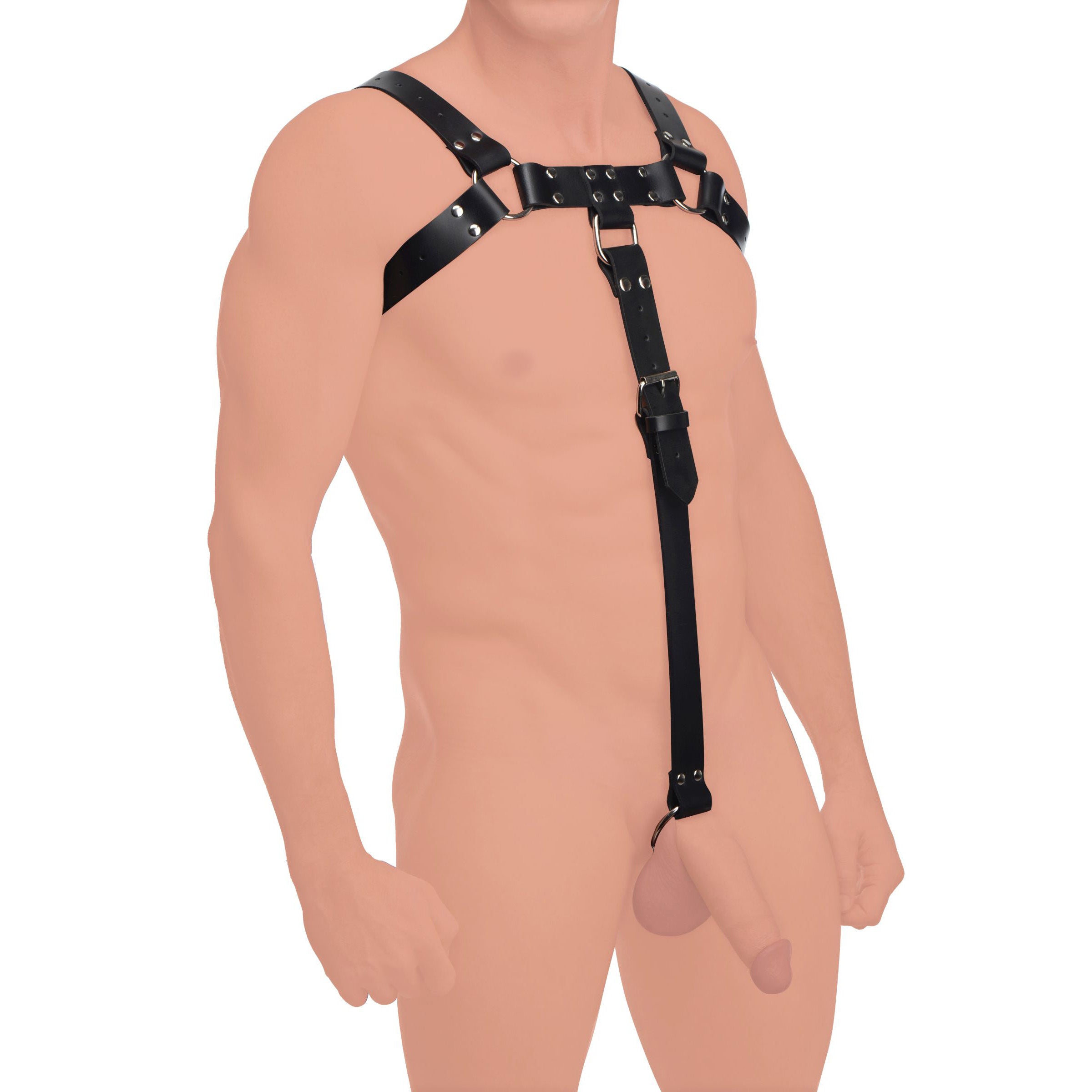 Strict Leather English Bull Dog Harness with Cock Strap Black
