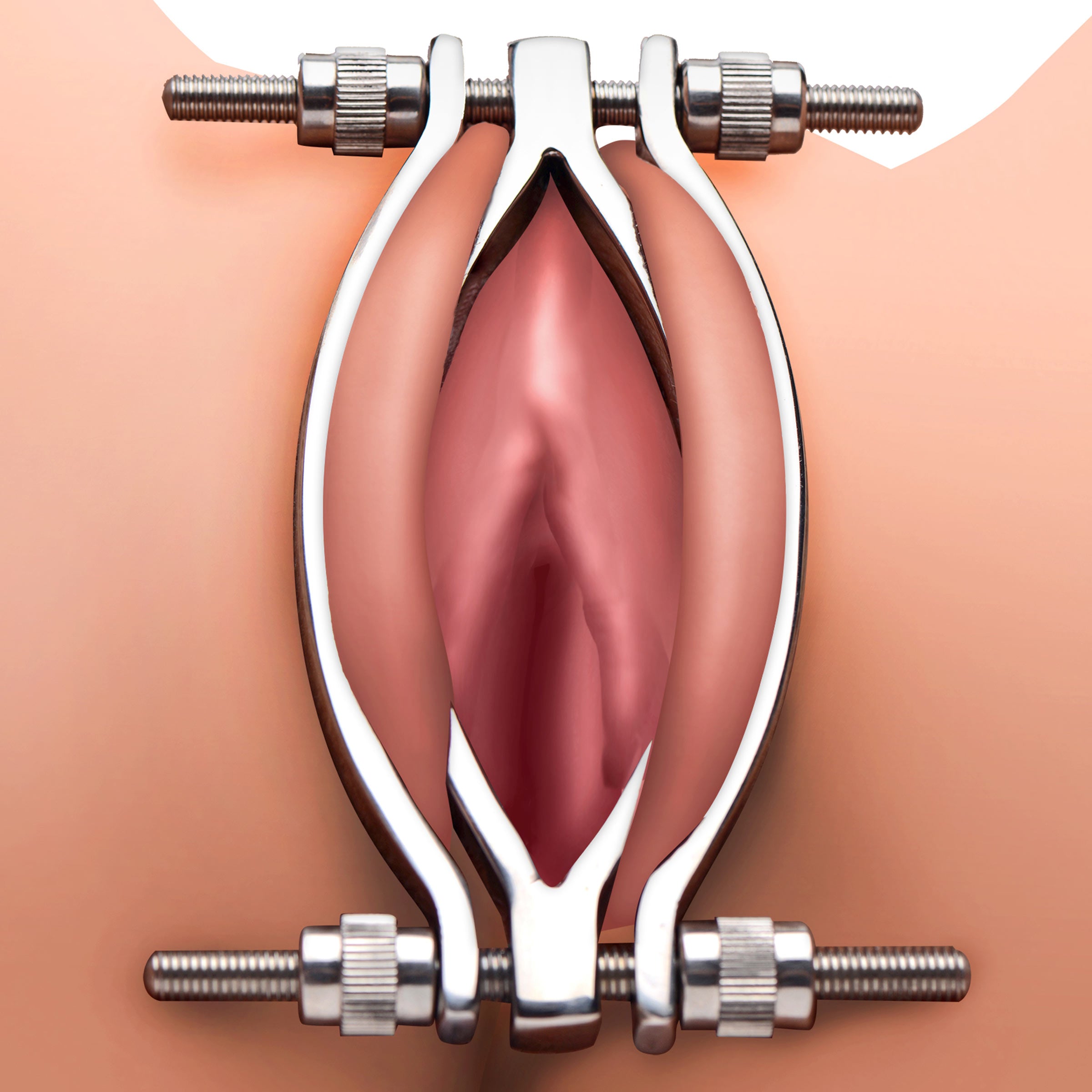 Master Series Stainless Steel Adjustable Pussy Clamp Grey