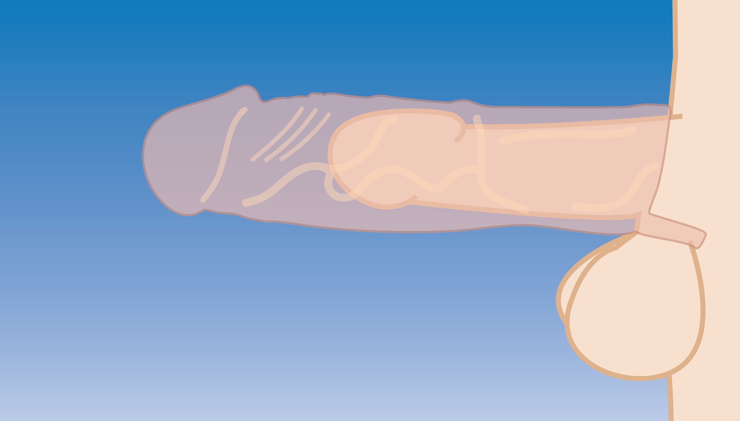 Size Matters 2 Inch Silicone Penis Extension Flesh