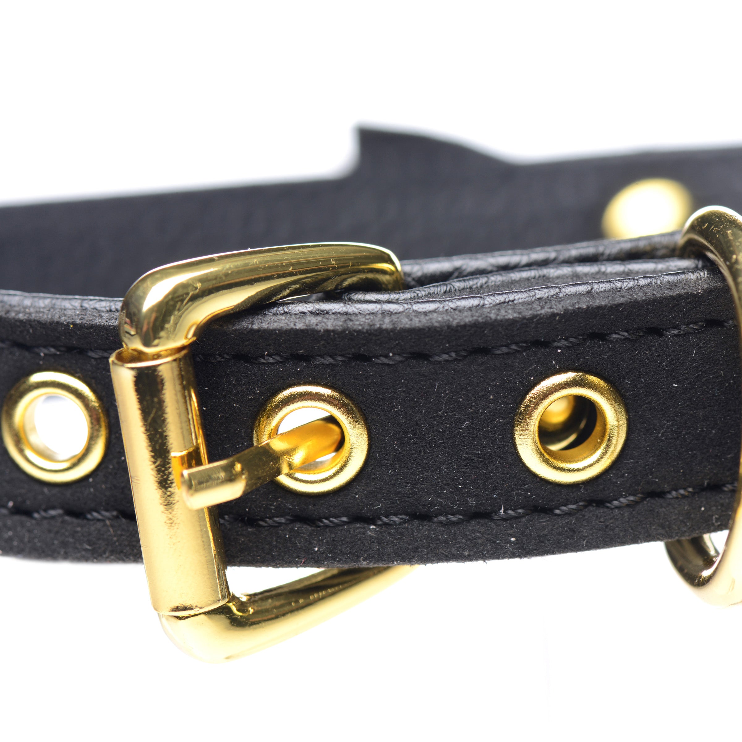 Master Series Golden Kitty Cat Bell Collar - Black/Gold Black