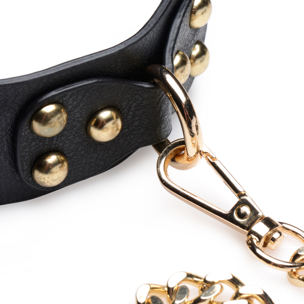 Master Series Gold Submission Bondage Kit Black