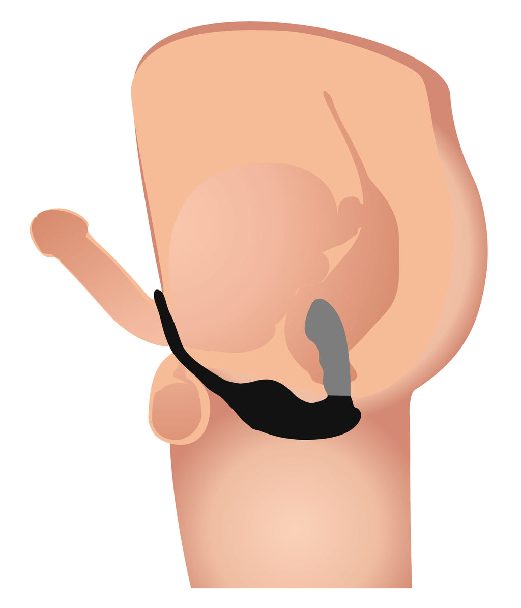 Alpha-Pro 7X P-Strap Milking and Vibrating Prostate Stimulator with Cock and Ball Harness Black