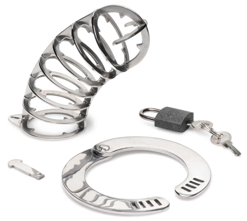 Master Series Stainless Steel Spiked Chastity Cage Grey
