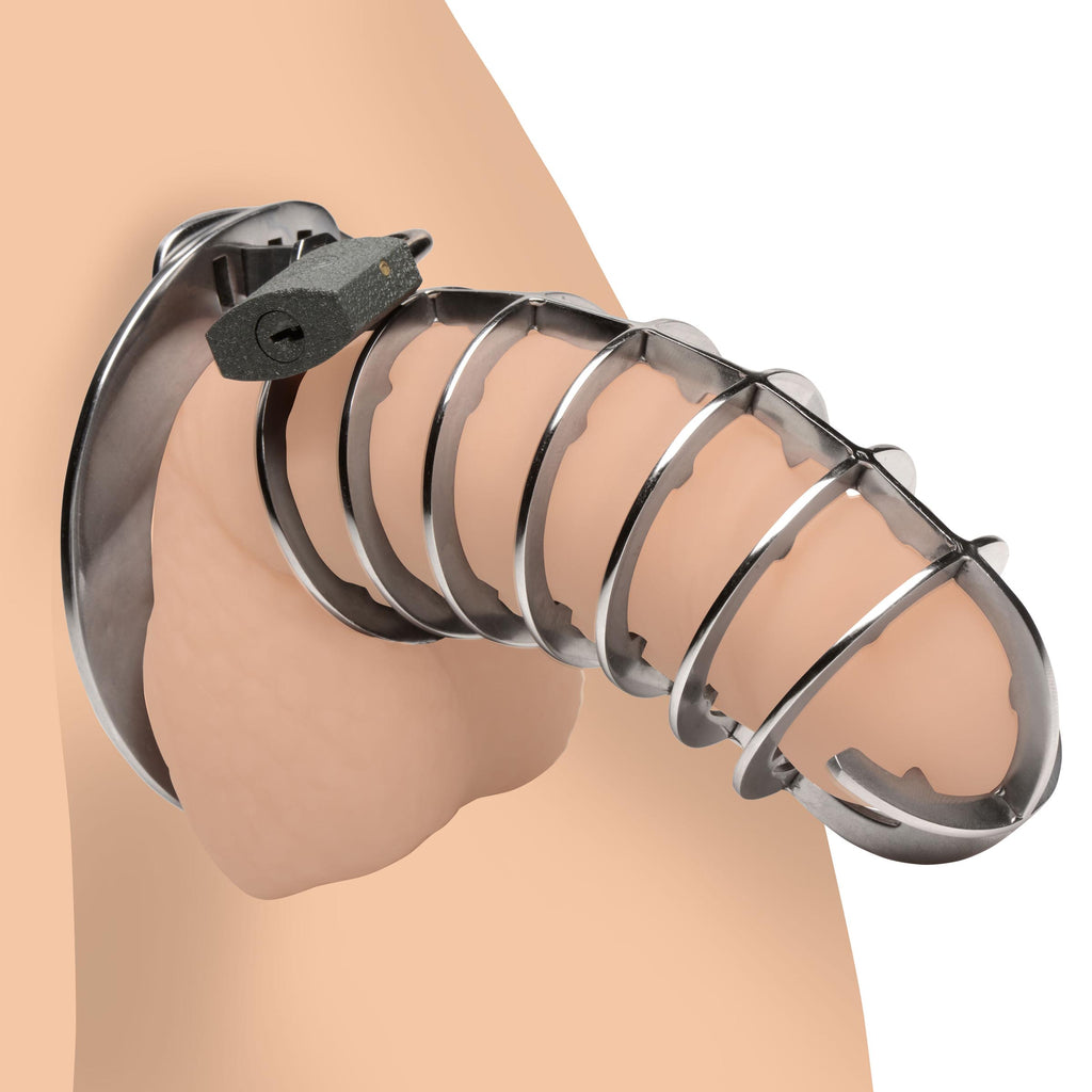 Master Series Stainless Steel Spiked Chastity Cage Grey