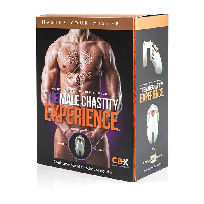 CB6000S CB6000S Black Chastity Cage Kit Black