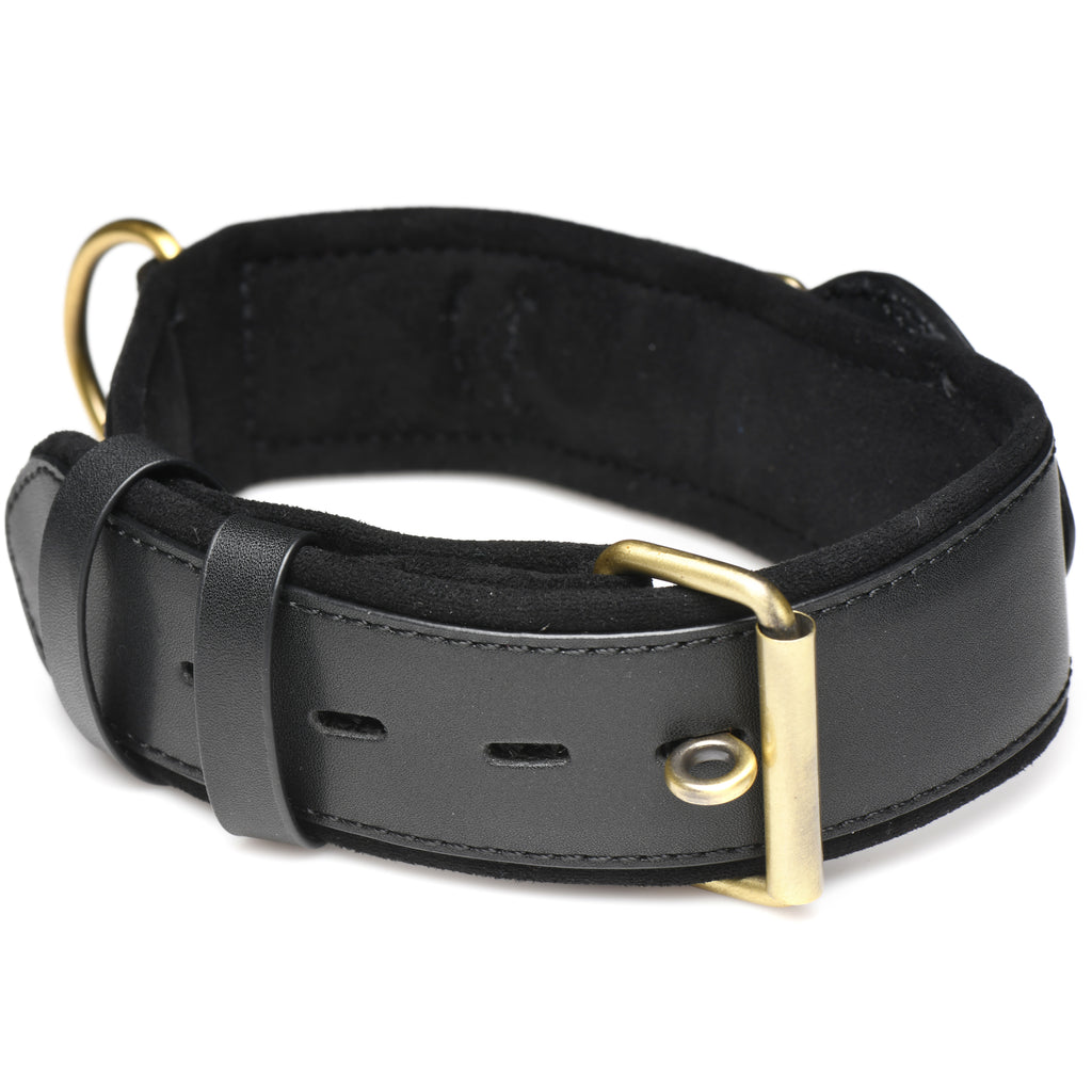 Master Series Tracer Tracking Collar Black