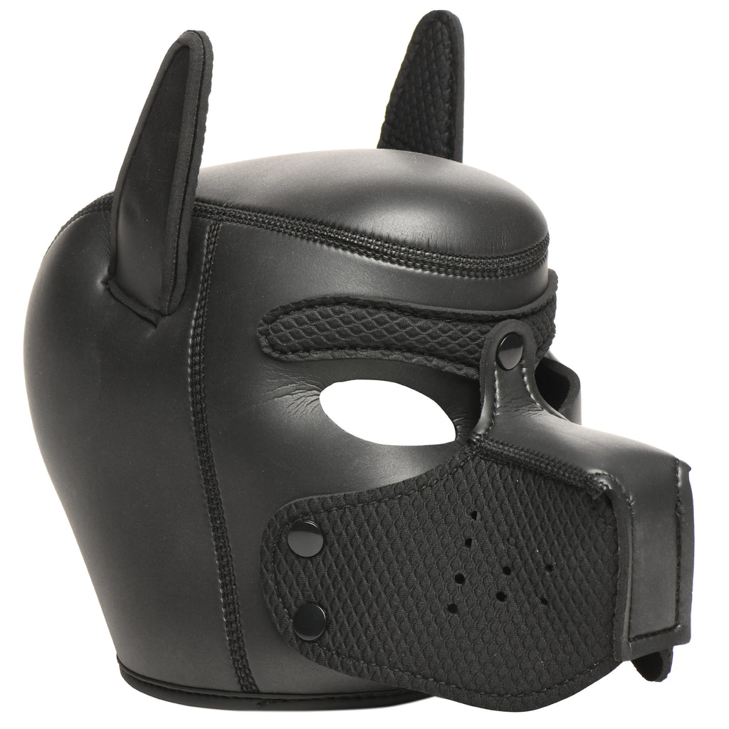 Master Series 9 Piece Deluxe Pup Arsenal Set Black