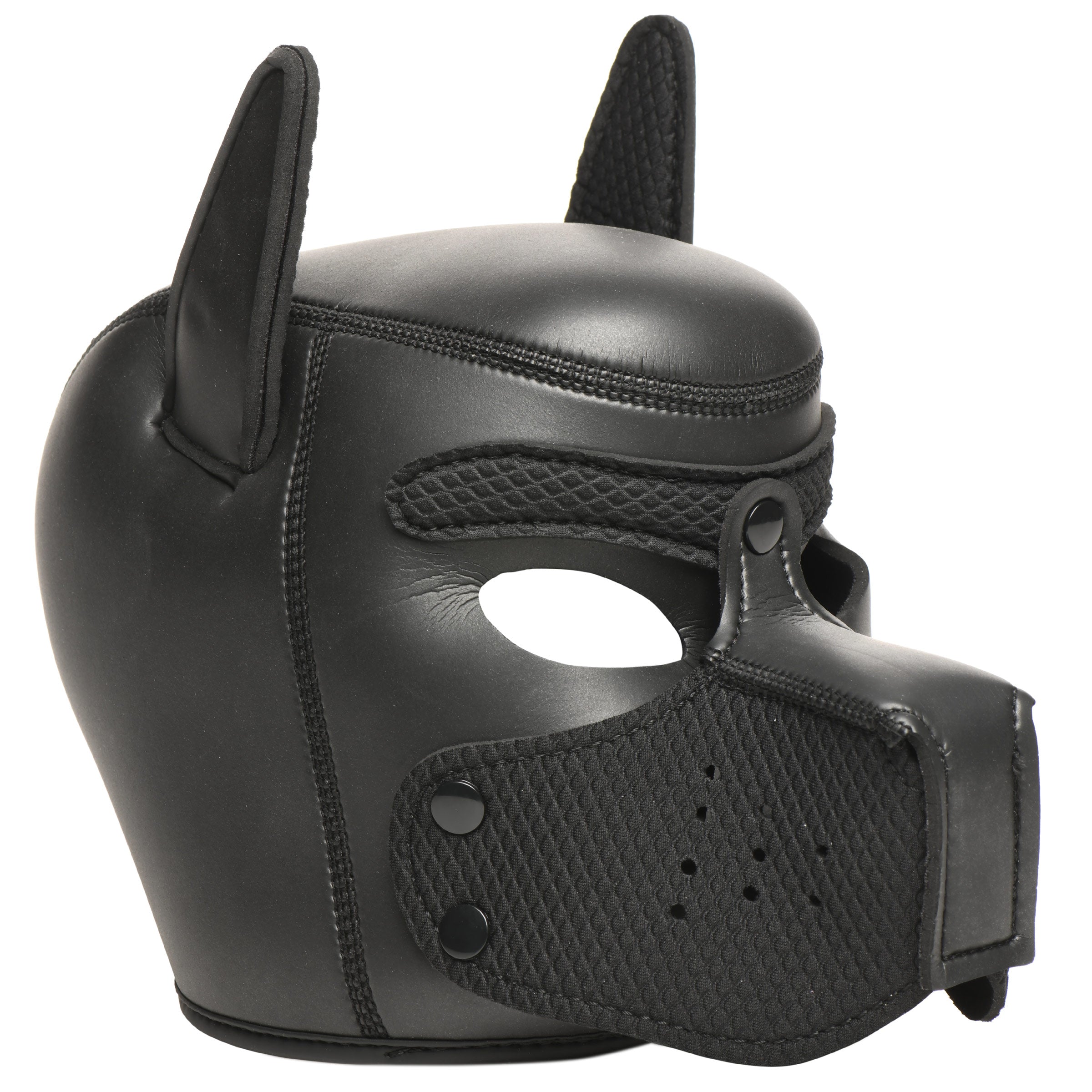 Master Series 9 Piece Deluxe Pup Arsenal Set Black