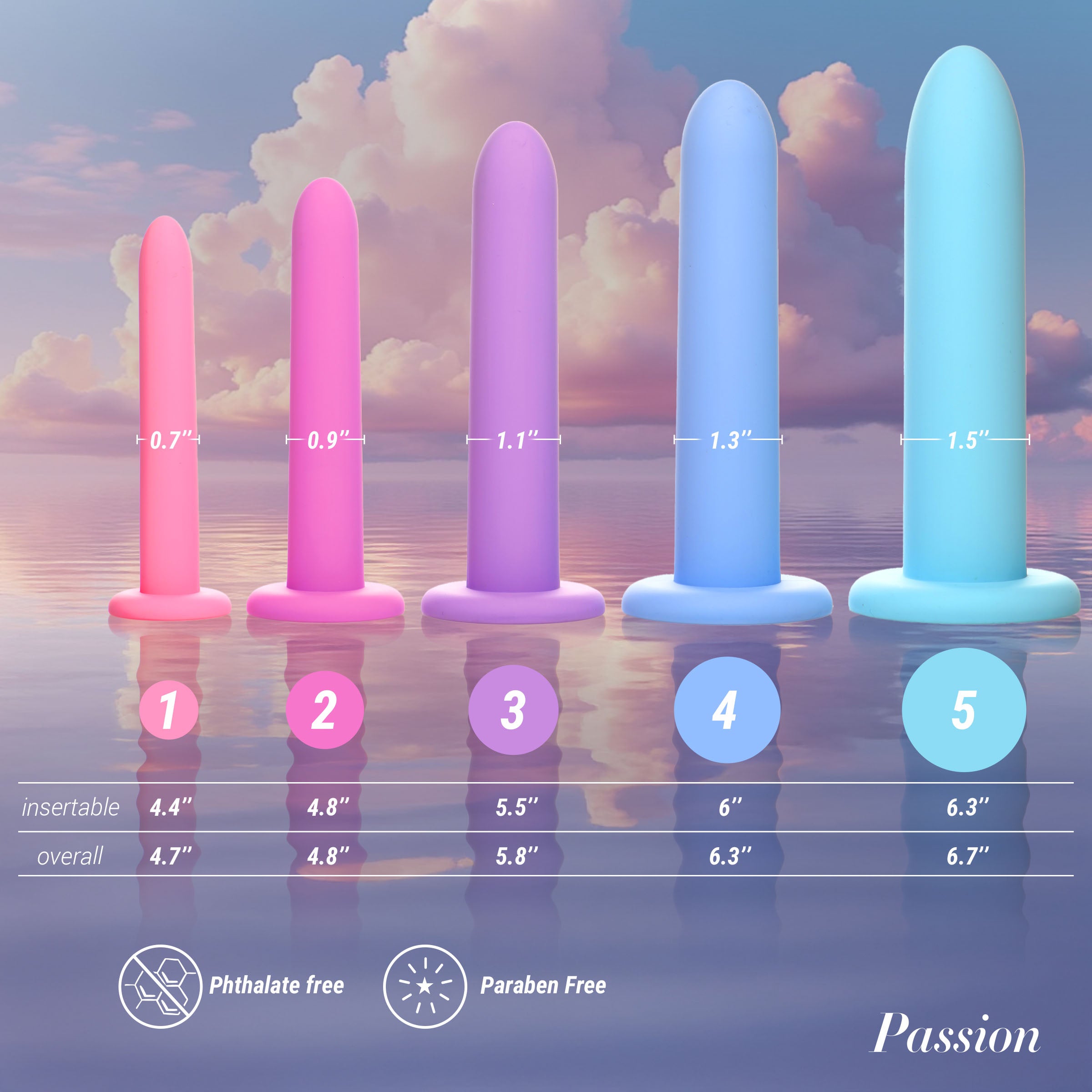 Passion Lubricants Silicone Pelvic Kegel Exerciser Set Multi