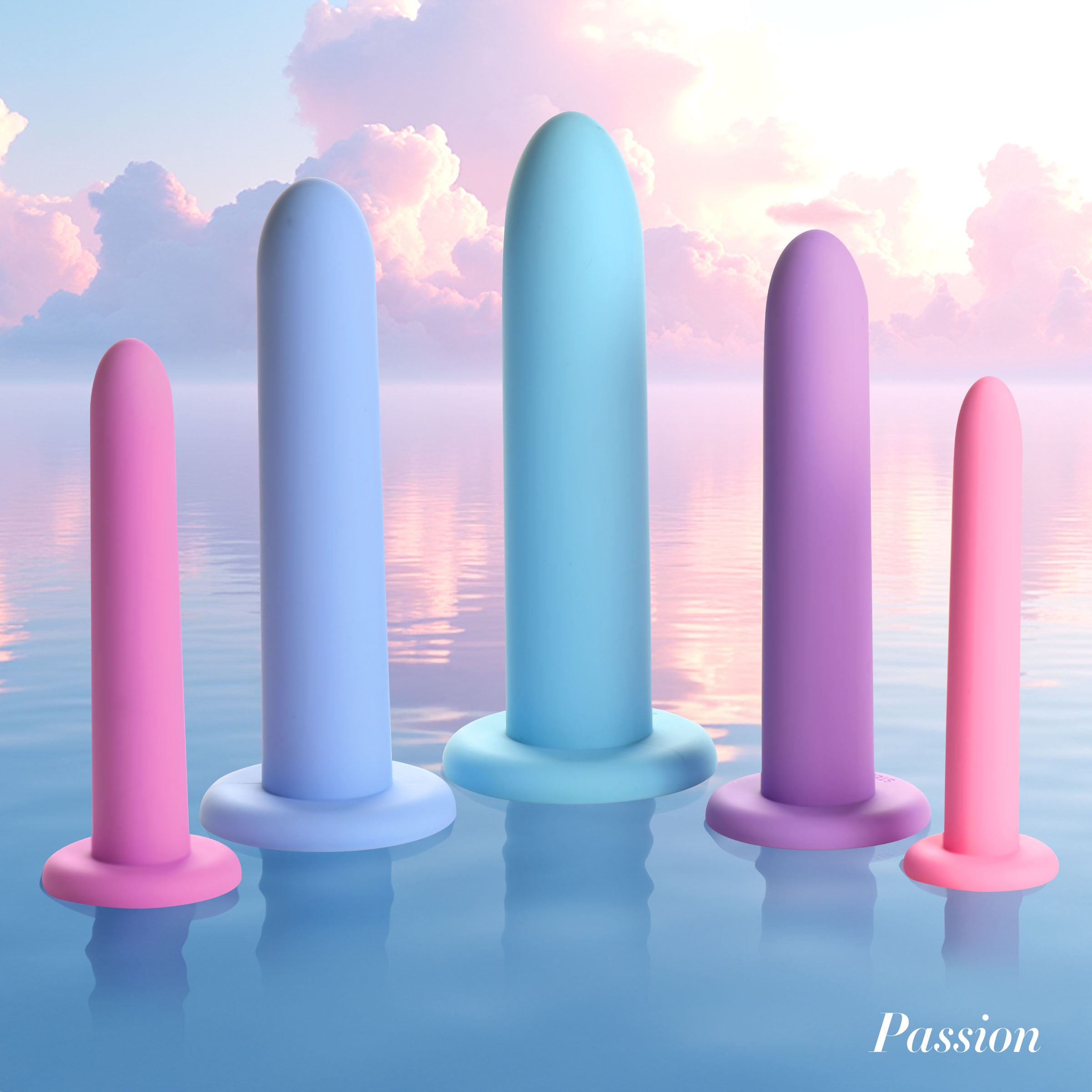 Passion Lubricants Silicone Pelvic Kegel Exerciser Set Multi