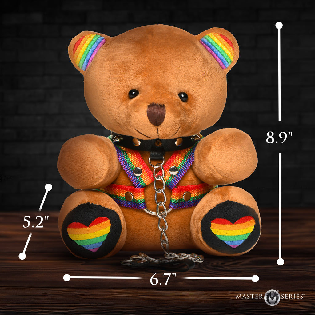 Master Series Pride Bear Multi