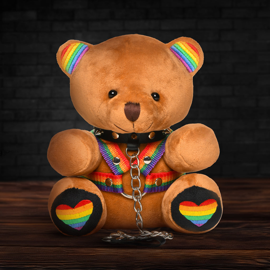 Master Series Pride Bear Multi