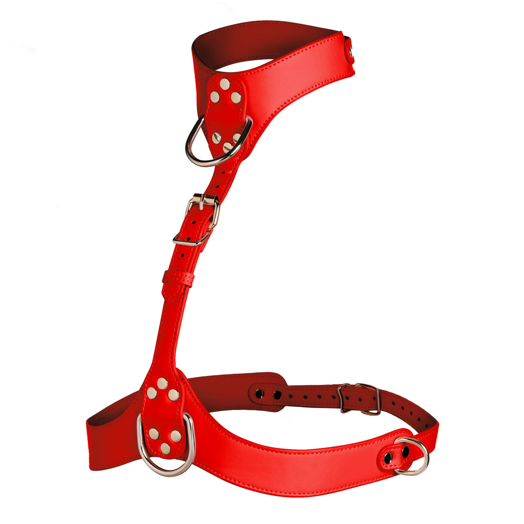 Master Series Vixen Female Chest Harness - Red Red