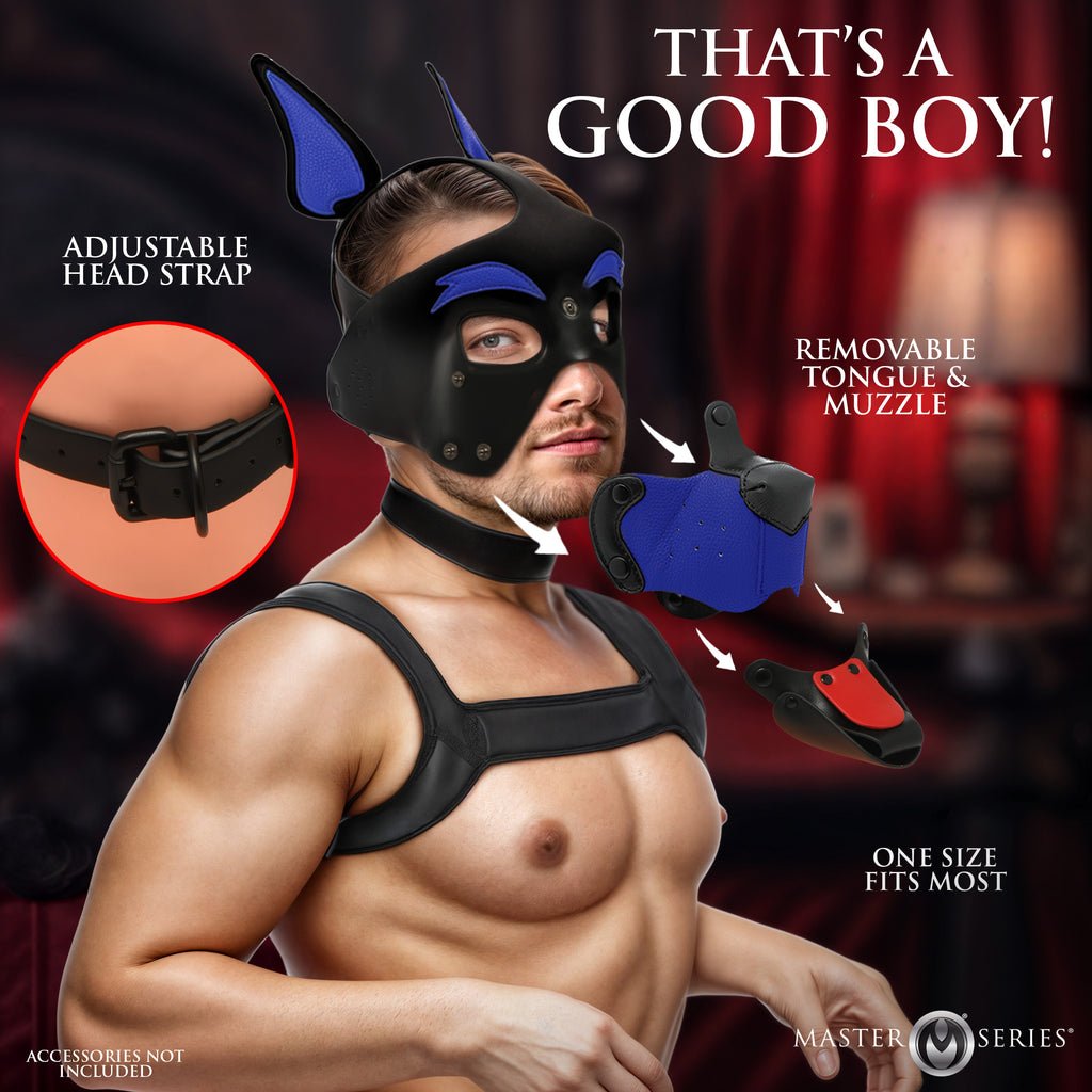 Master Series Alpha Dog Pup Hood - Blue Blue