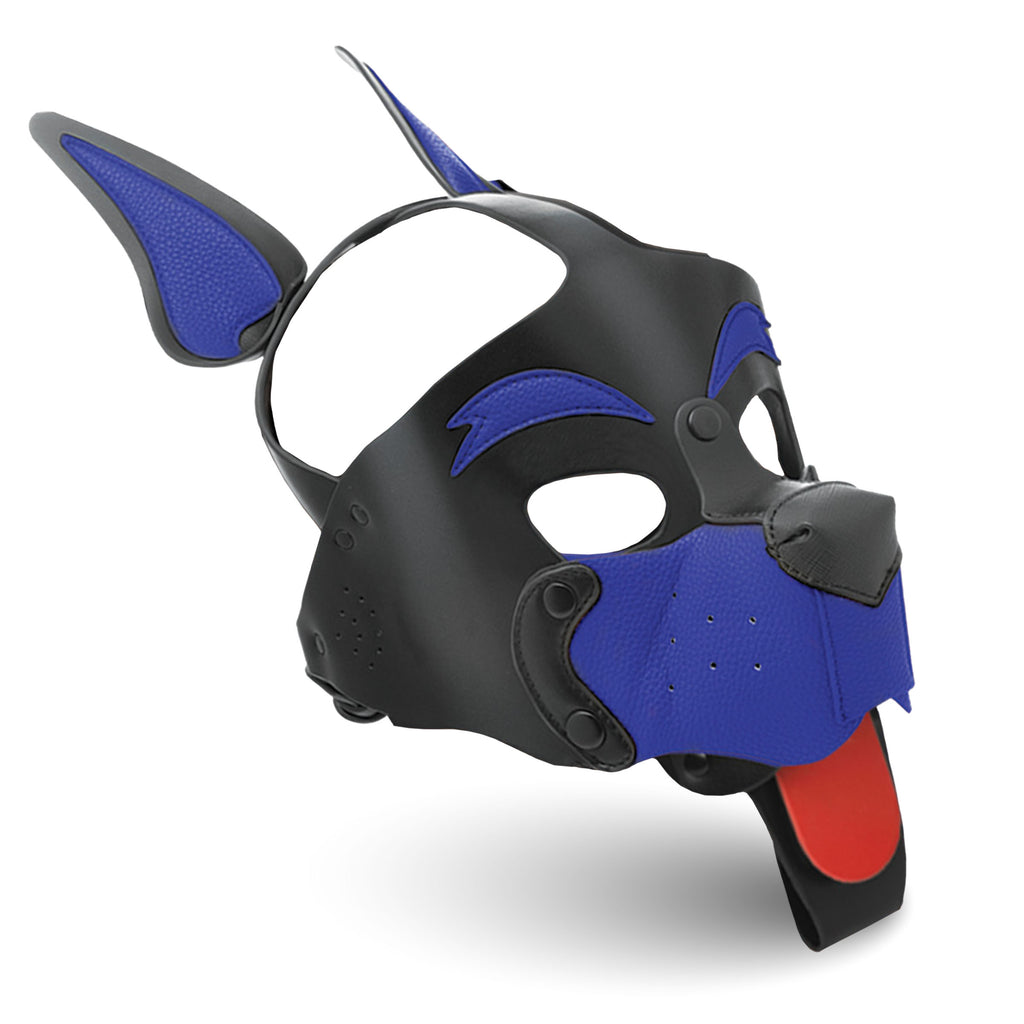 Master Series Alpha Dog Pup Hood - Blue Blue