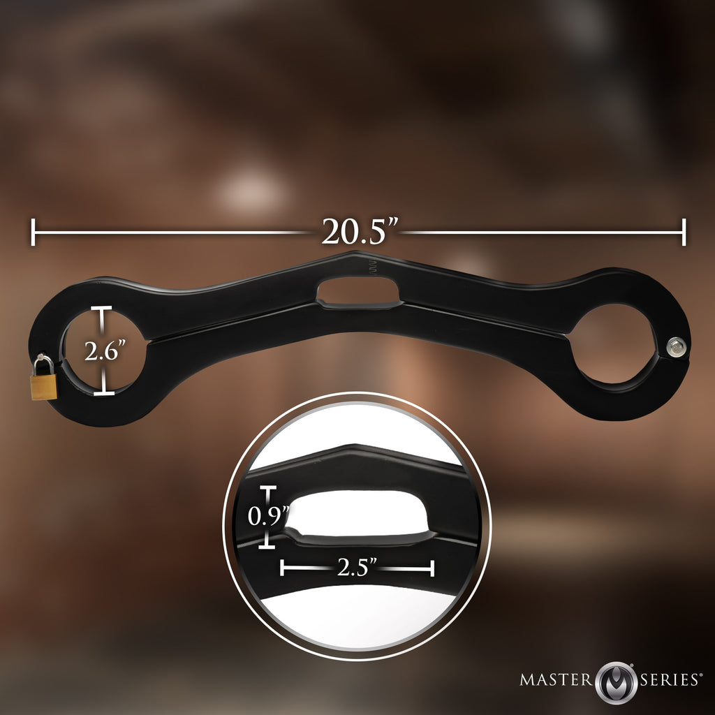 Master Series Punished Balls to Wrist Humbler Black