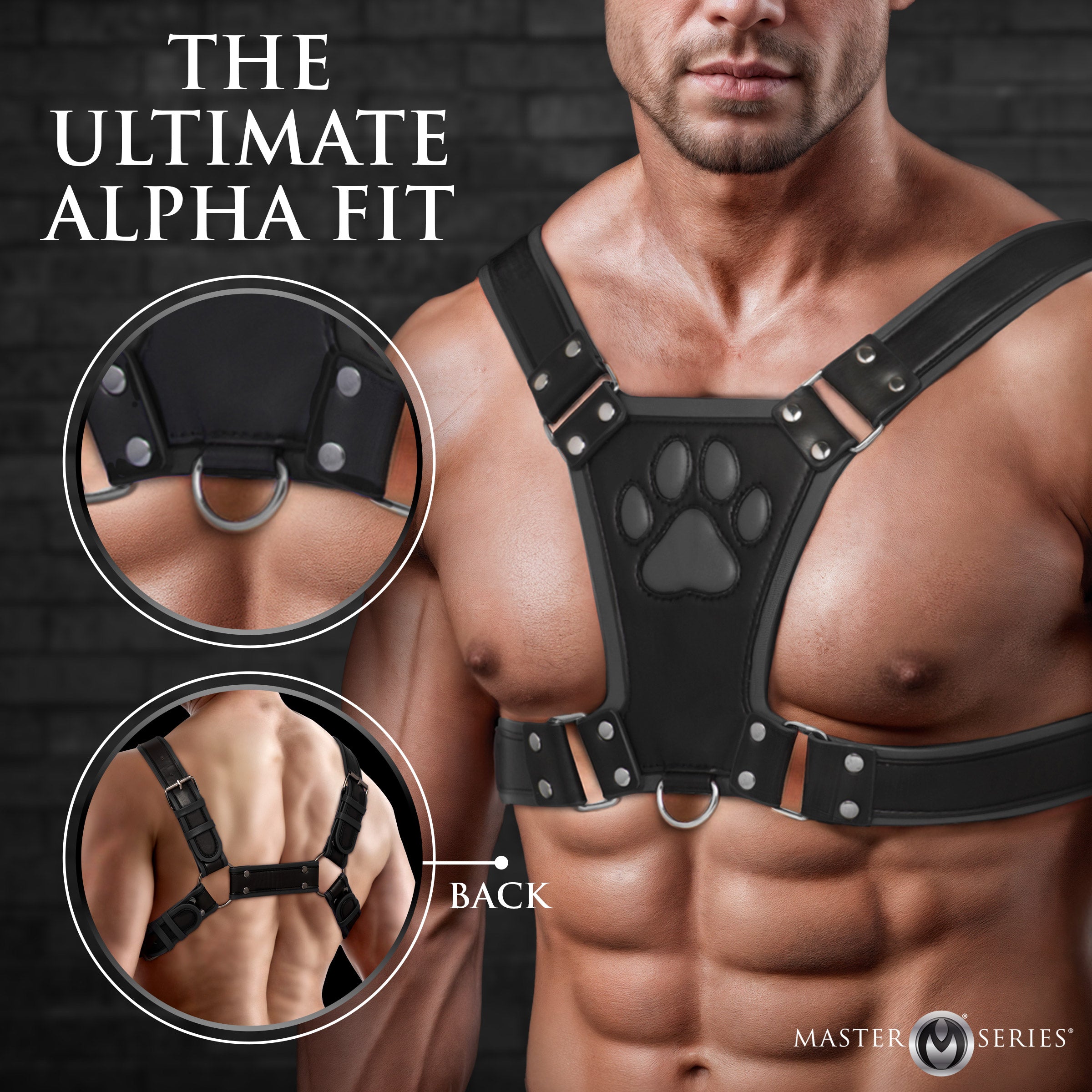Master Series Alpha Pup Bulldog Harness - Black Black