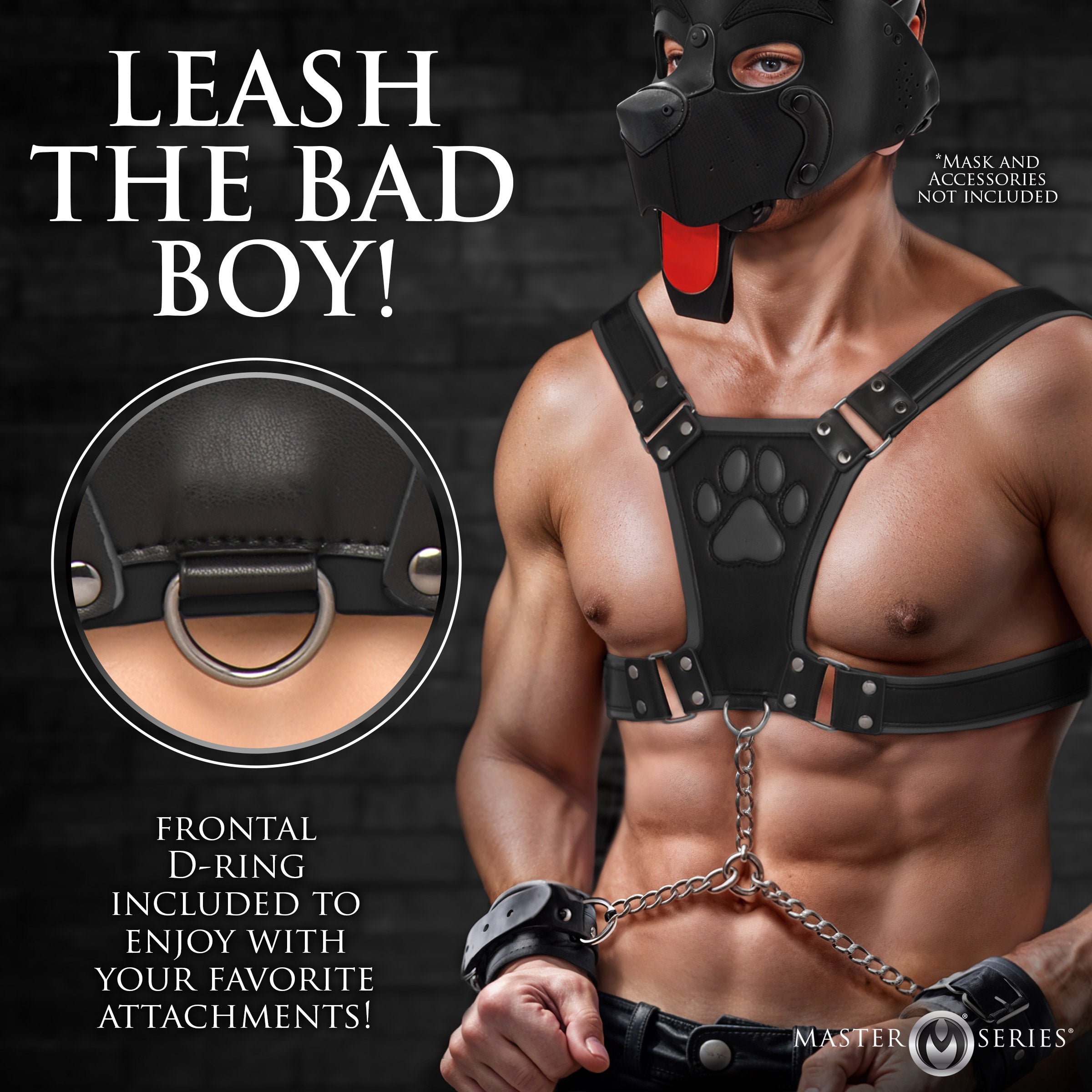 Master Series Alpha Pup Bulldog Harness - Black Black