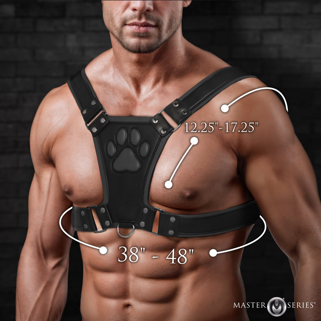 Master Series Alpha Pup Bulldog Harness - Black Black