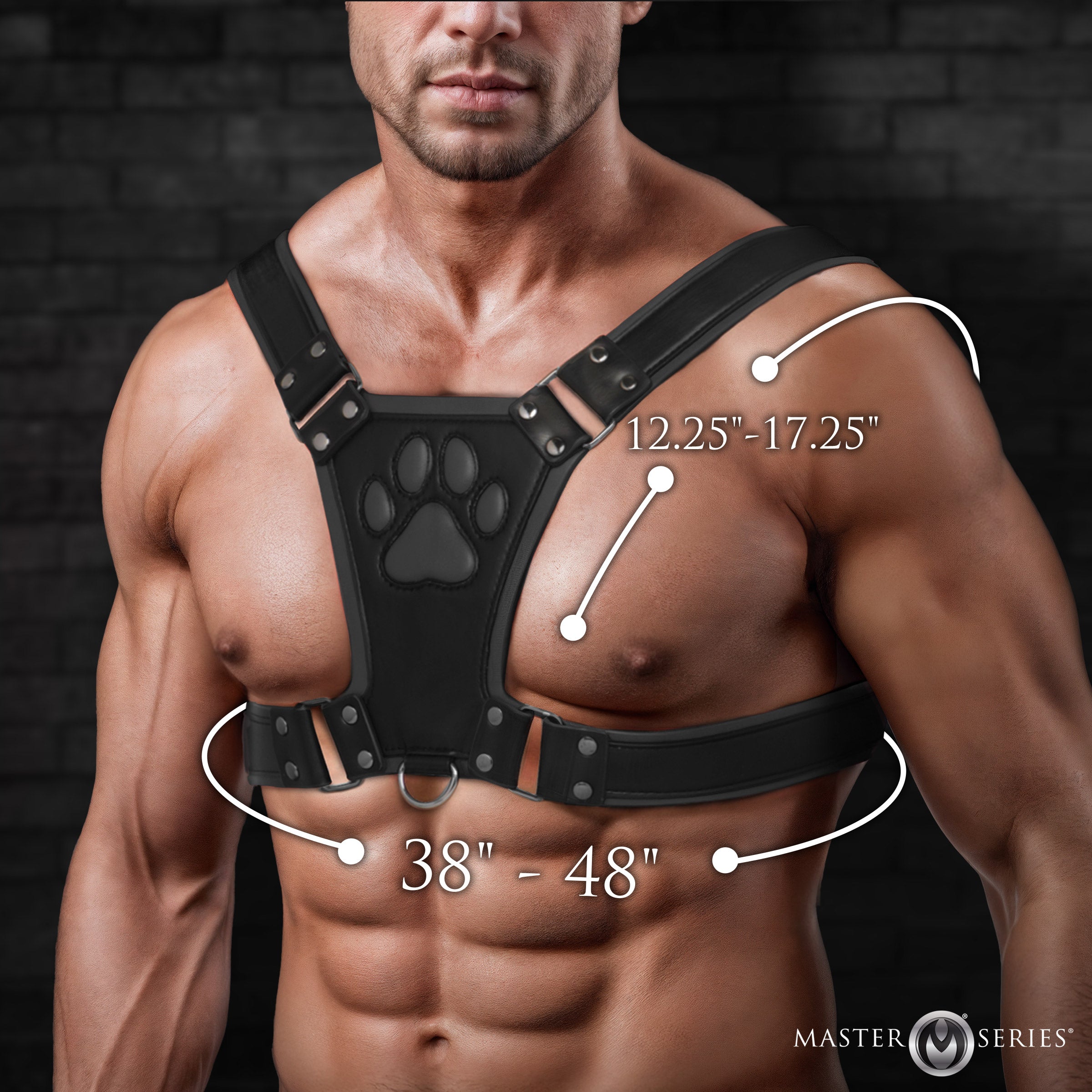 Master Series Alpha Pup Bulldog Harness - Black Black