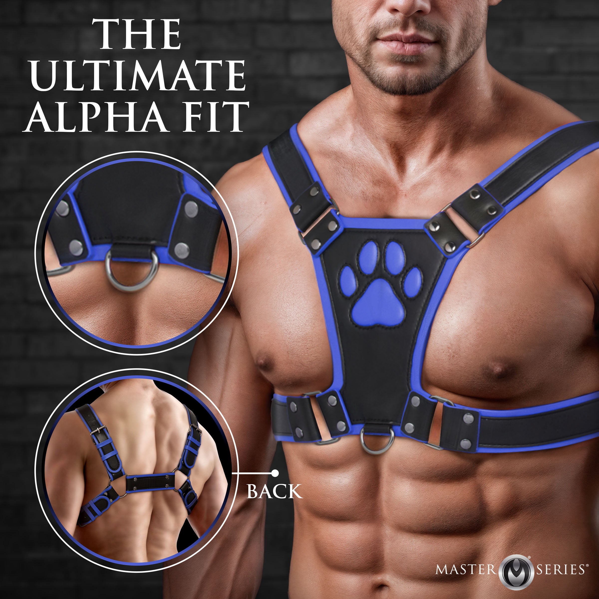 Master Series Alpha Pup Bulldog Harness - Black Blue