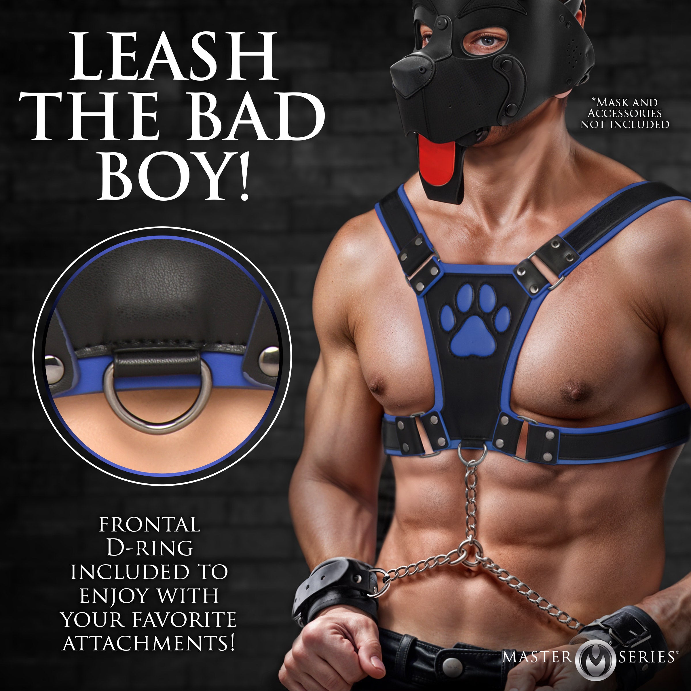 Master Series Alpha Pup Bulldog Harness - Black Blue
