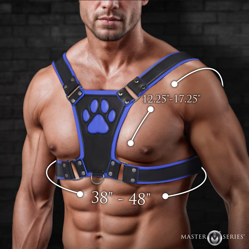 Master Series Alpha Pup Bulldog Harness - Black Blue