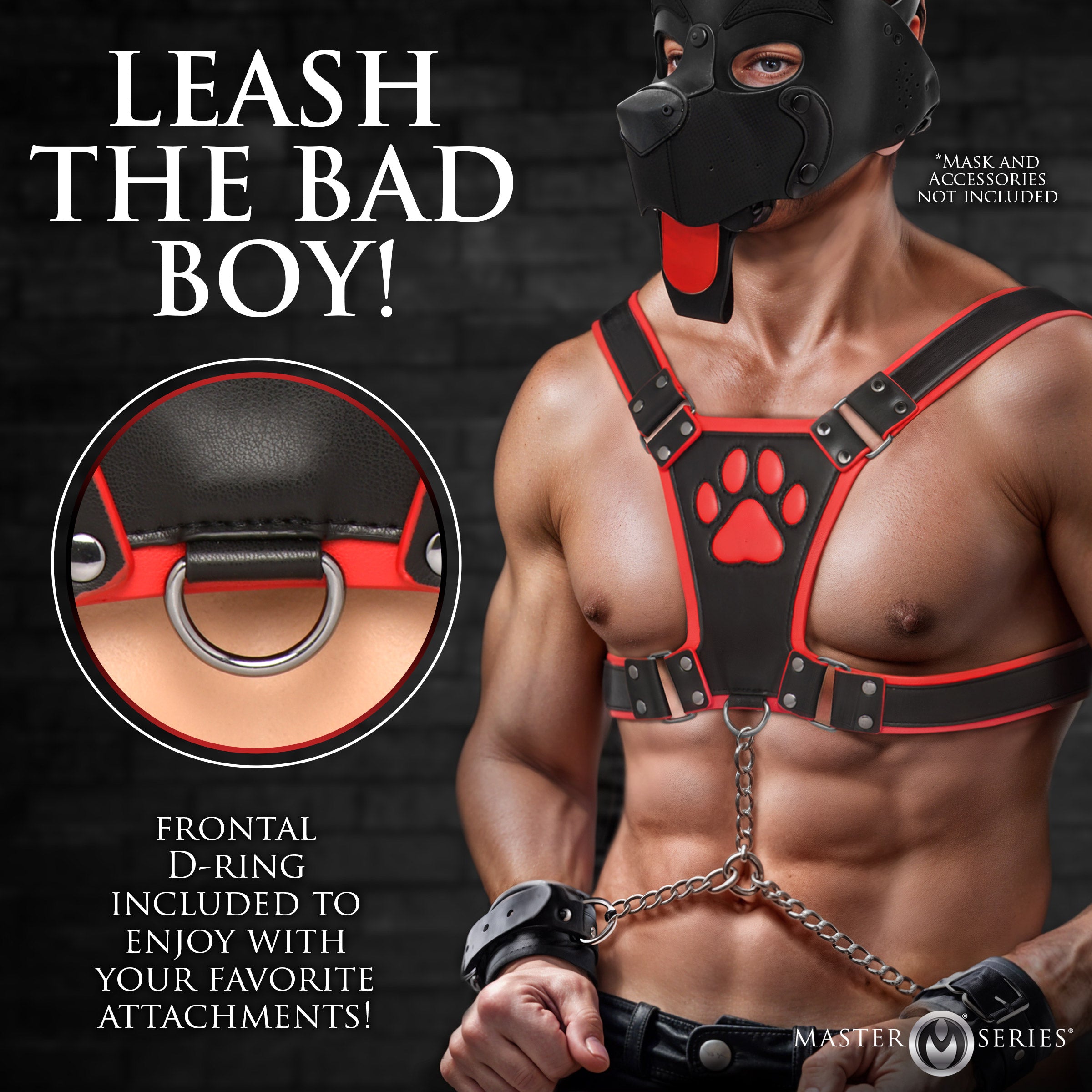 Master Series Alpha Pup Bulldog Harness - Black Red