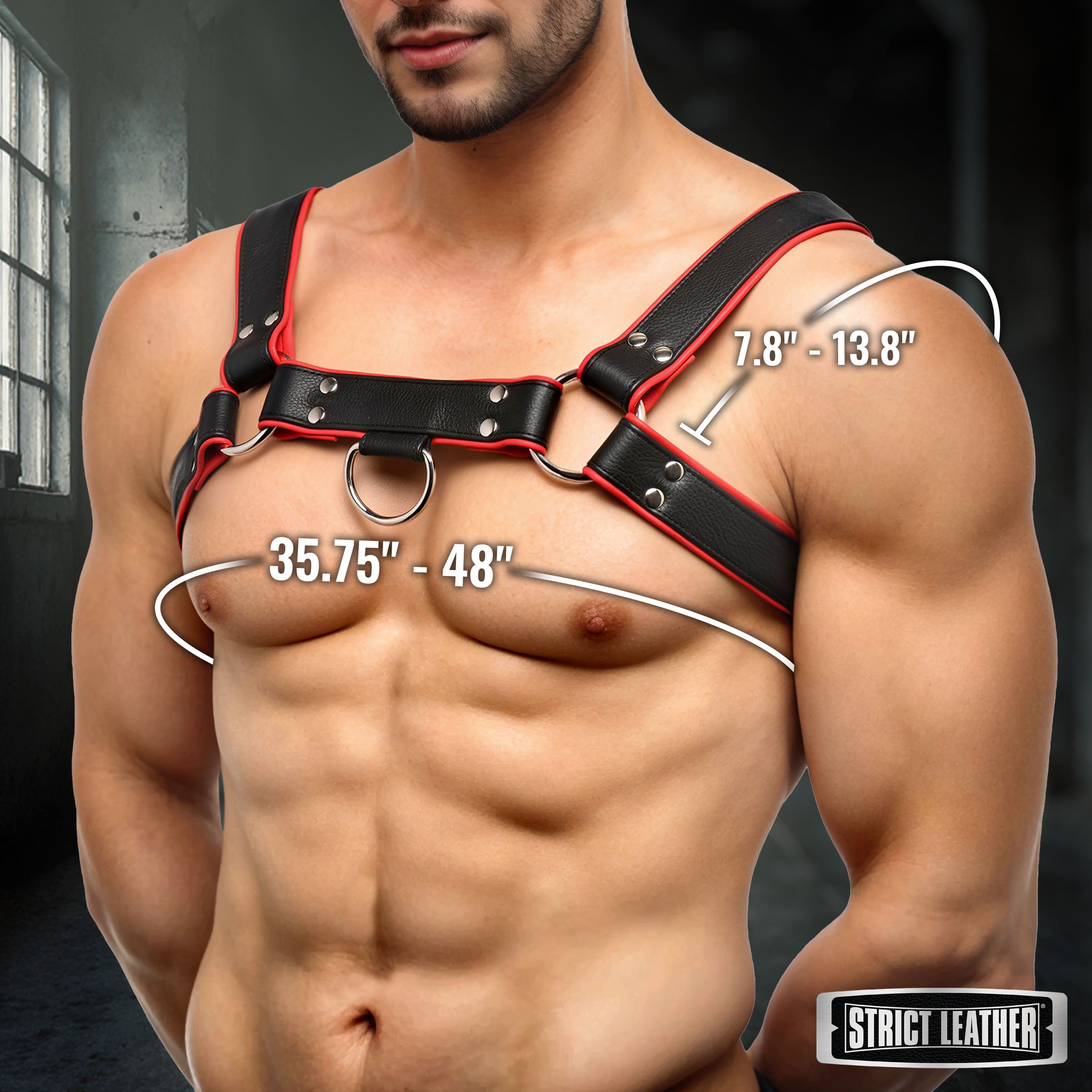 Strict Leather Leather English Bull Dog Harness Black/Red Black