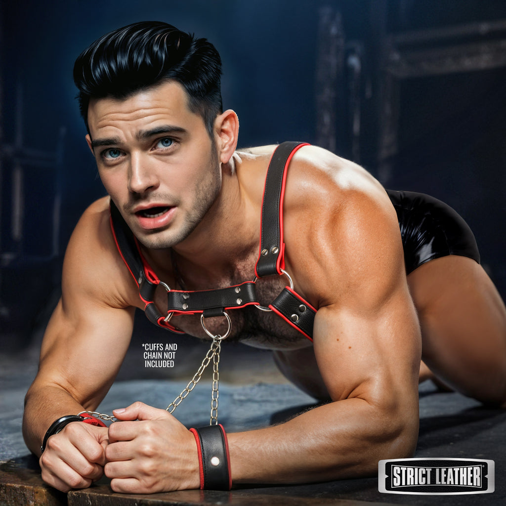 Strict Leather Leather English Bull Dog Harness Black/Red Black