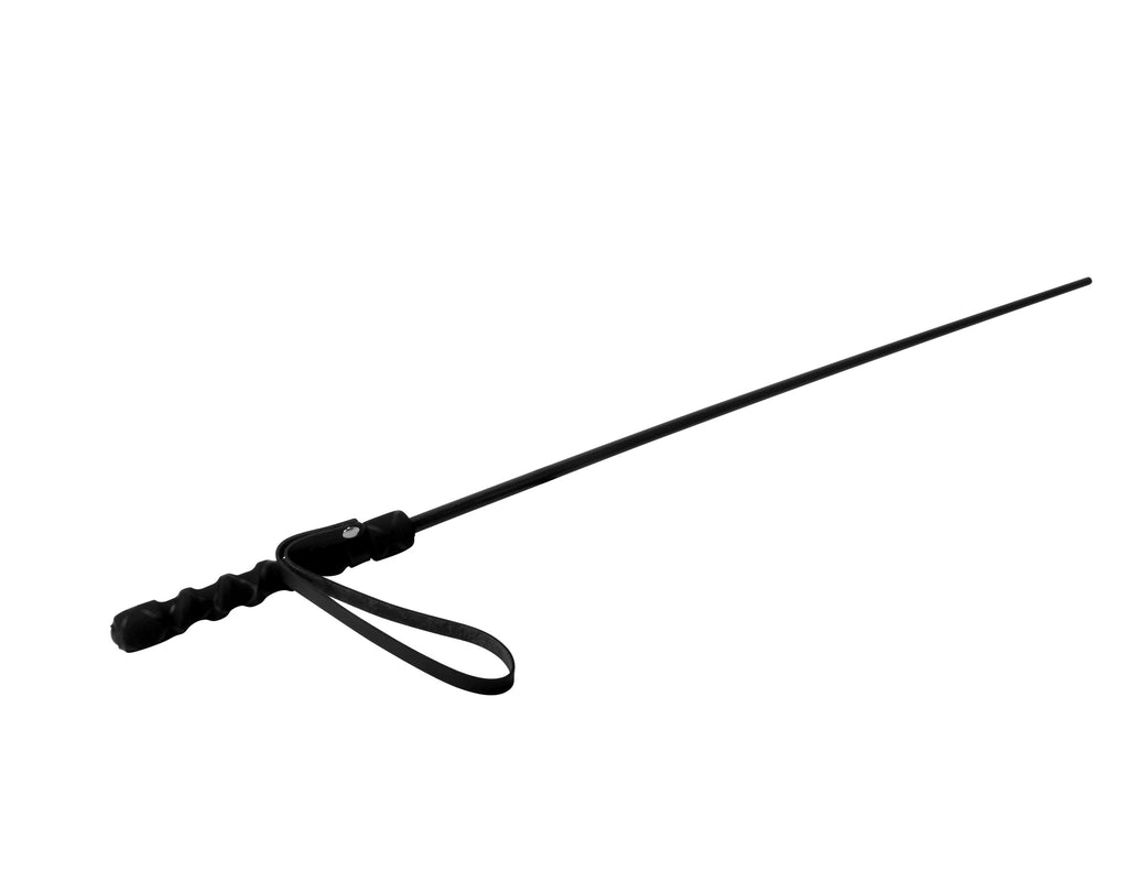 Mistress by Isabella Sinclaire Isabella Sinclaire Intense Impact Cane Black