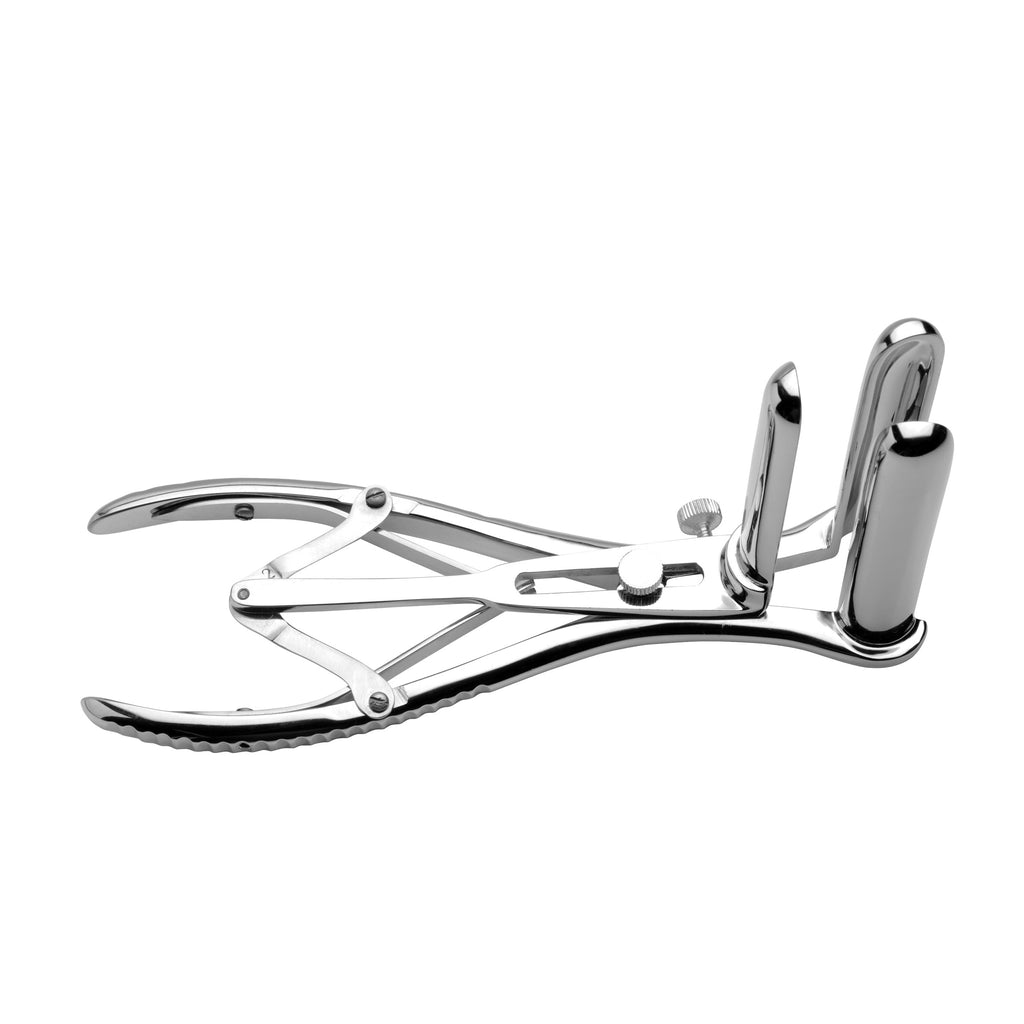 Mistress by Isabella Sinclaire Isabella Sinclaire Anal Speculum Grey