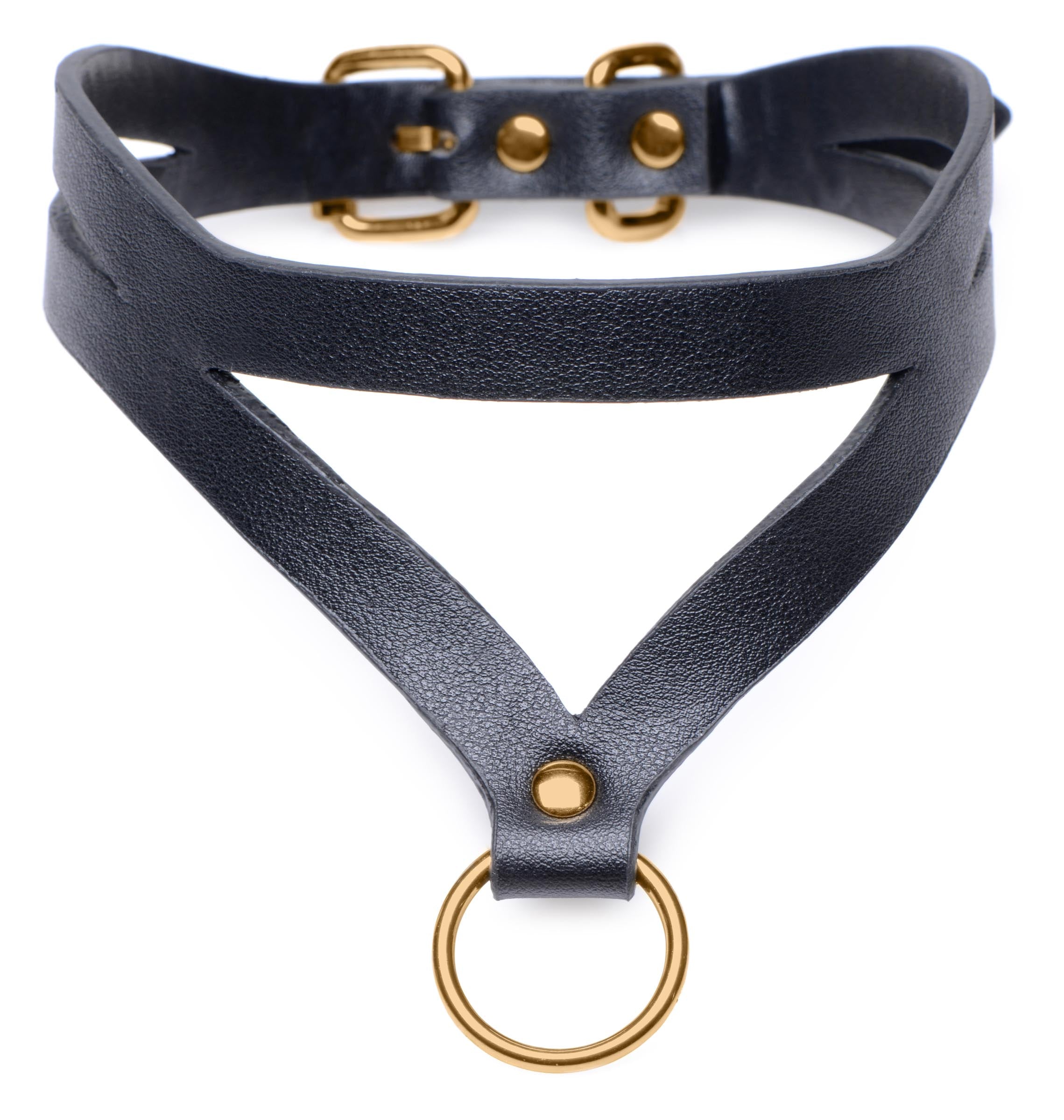 Master Series Black and Gold Collar with Leash Kit Yellow