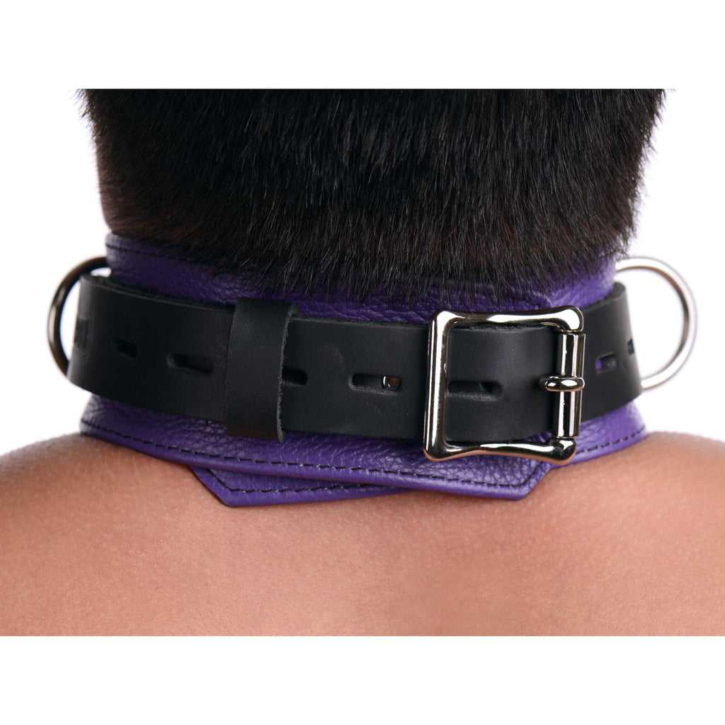 Strict Leather Strict Leather Deluxe Locking Collar - Purple and Black Purple