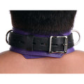 Strict Leather Strict Leather Deluxe Locking Collar - Purple and Black Purple