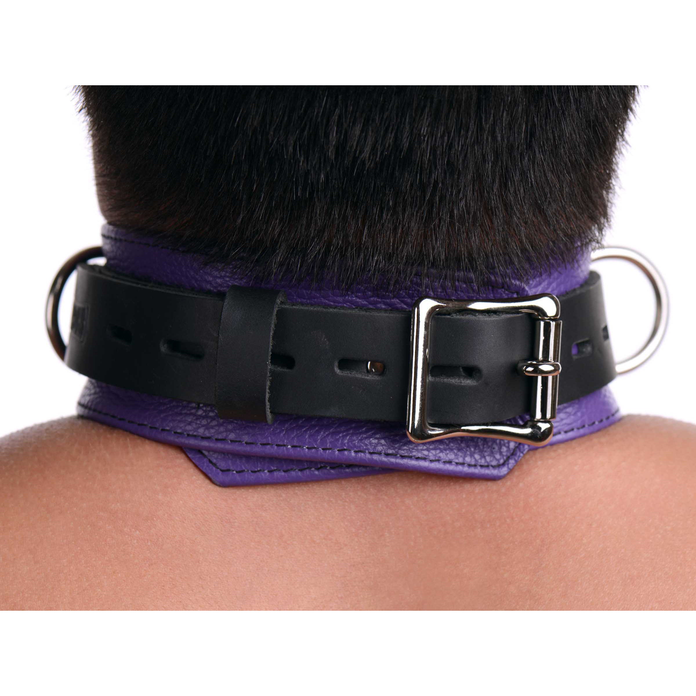 Strict Leather Strict Leather Deluxe Locking Collar - Purple and Black Purple