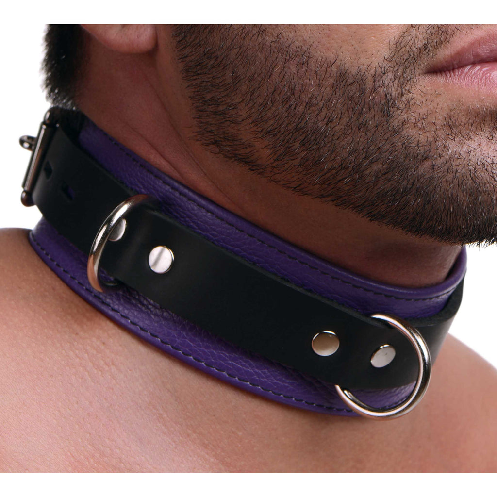 Strict Leather Strict Leather Deluxe Locking Collar - Purple and Black Purple