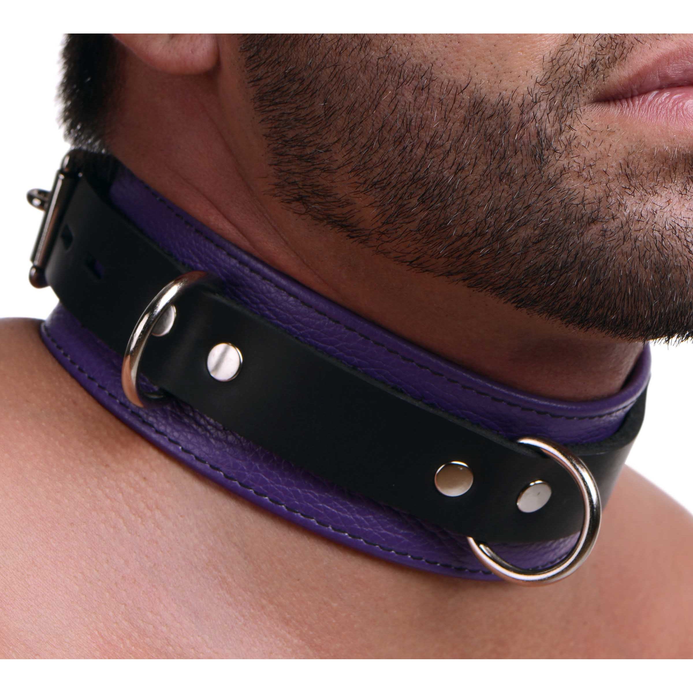 Strict Leather Strict Leather Deluxe Locking Collar - Purple and Black Purple