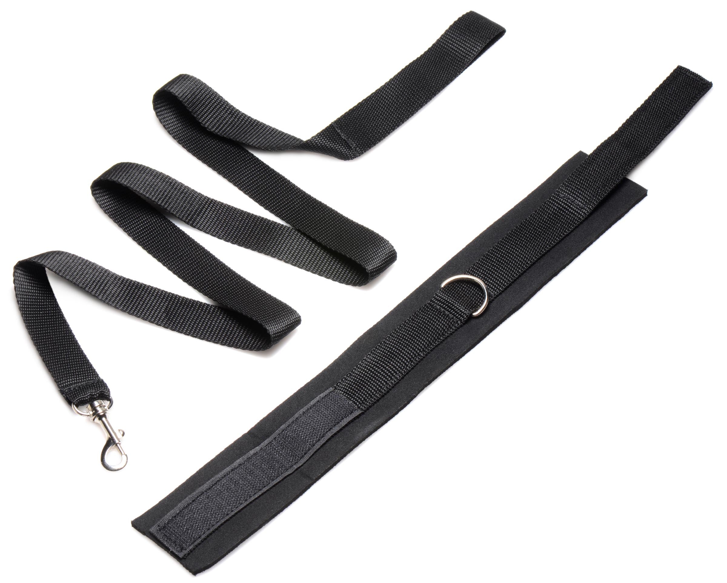 Frisky Frisky 46 Inch Leash and Collar Set Black