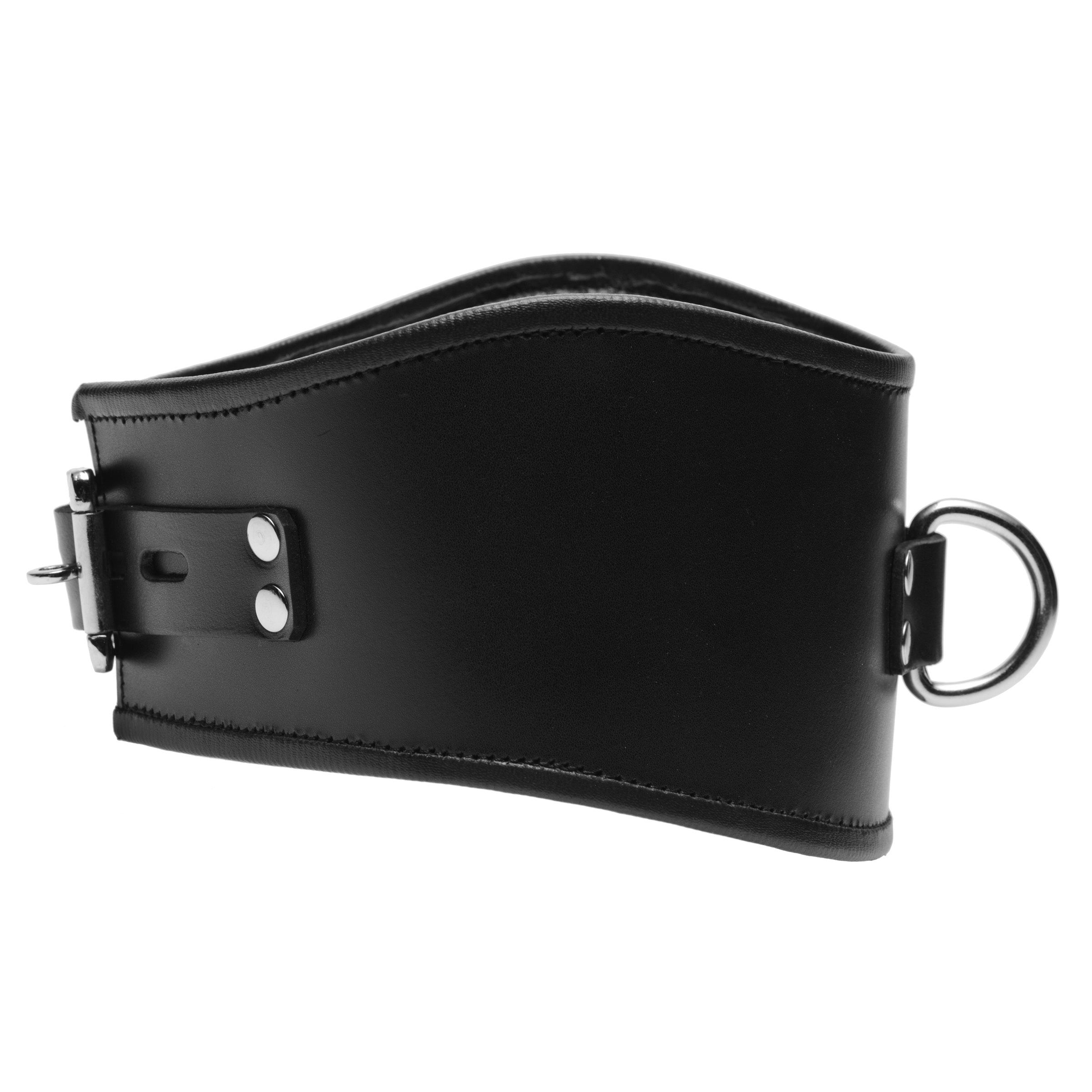 Strict Leather Padded Leather Locking Posture Collar Black